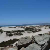 DSC02355