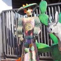DSC02495
